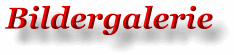 bildergallerie.gif (4036 Byte)